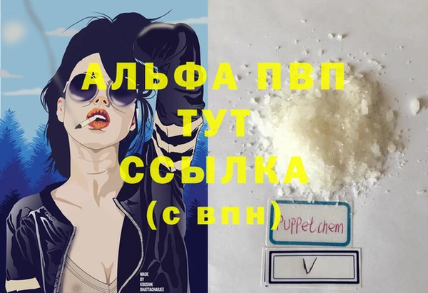 дживик Каменка