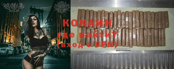 дживик Каменка