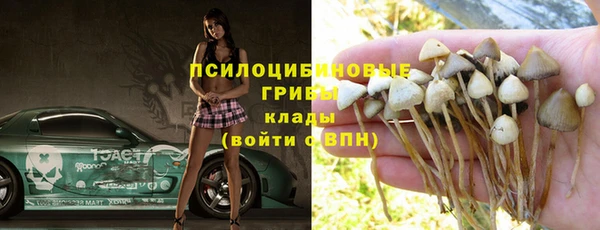 mdma Каменногорск