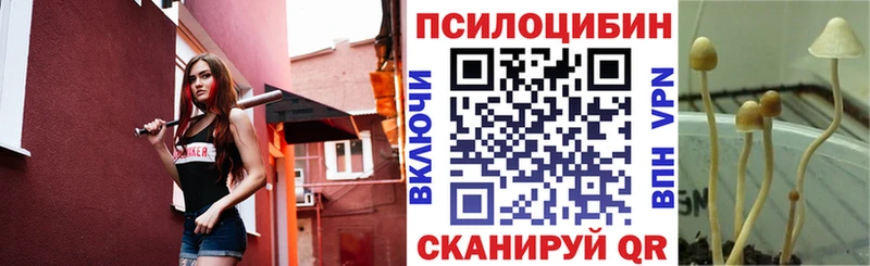 Псилоцибиновые грибы прущие грибы Барабинск